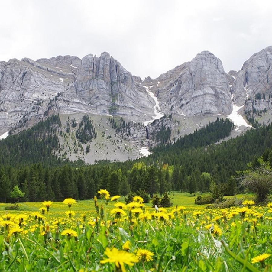 Appartamento Ático con encanto en Bellver de Cerdanya Esterno foto