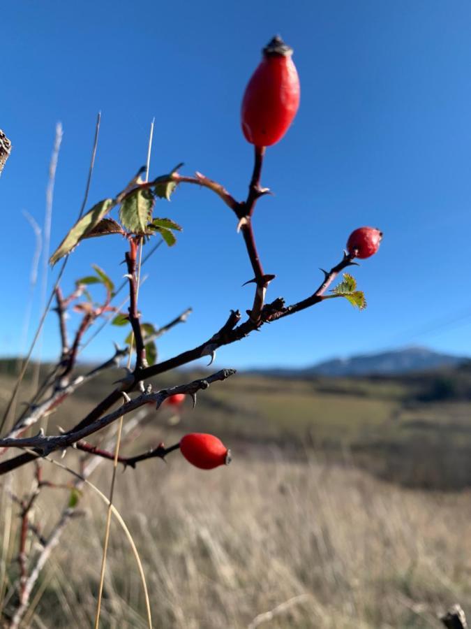 Appartamento Ático con encanto en Bellver de Cerdanya Esterno foto
